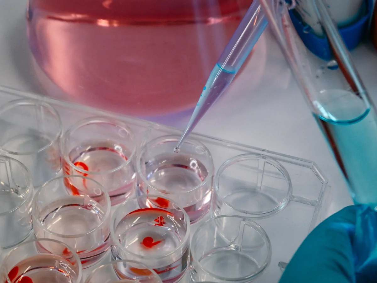 Pipette dispensing liquid into a well plate containing tissue models